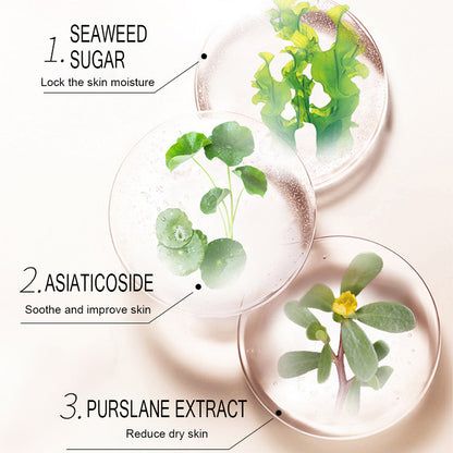 Rice Extract Facial Mask – Moisturizing &amp; Brightening Sheet Mask